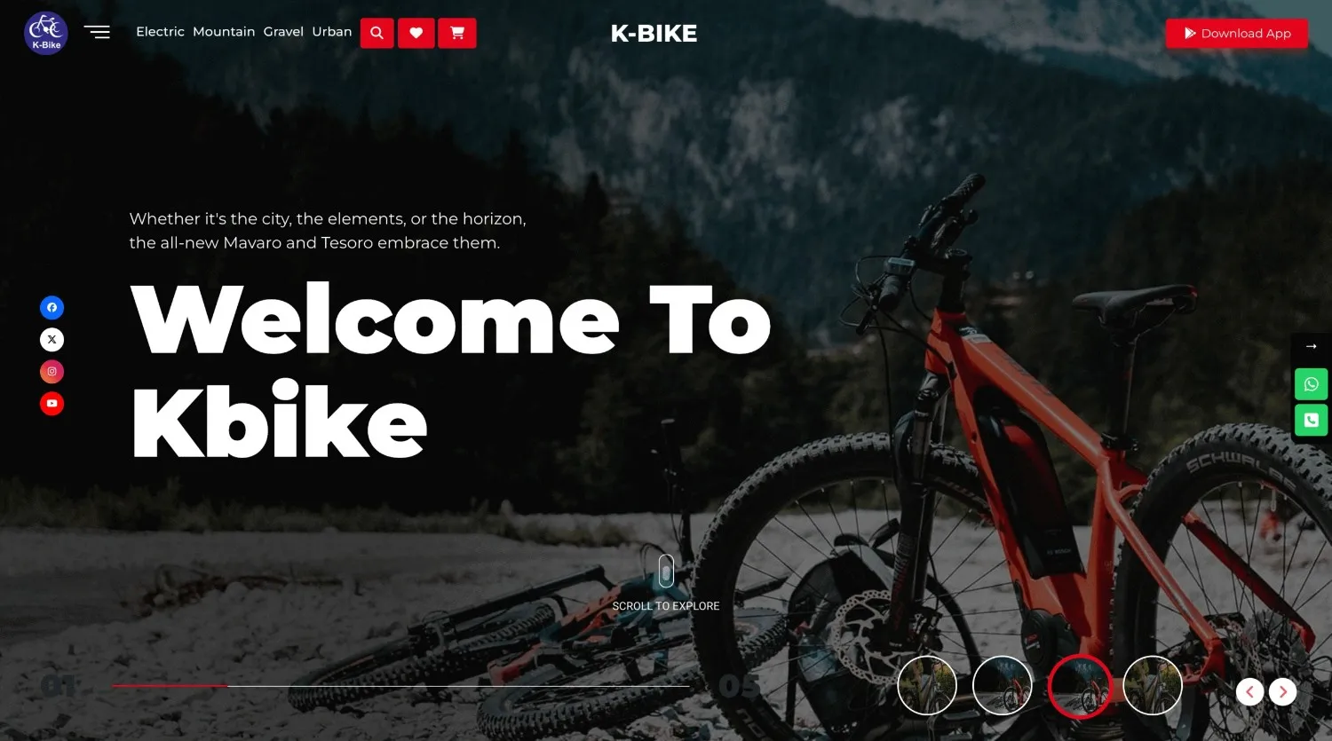 Bicycle Ecommerce