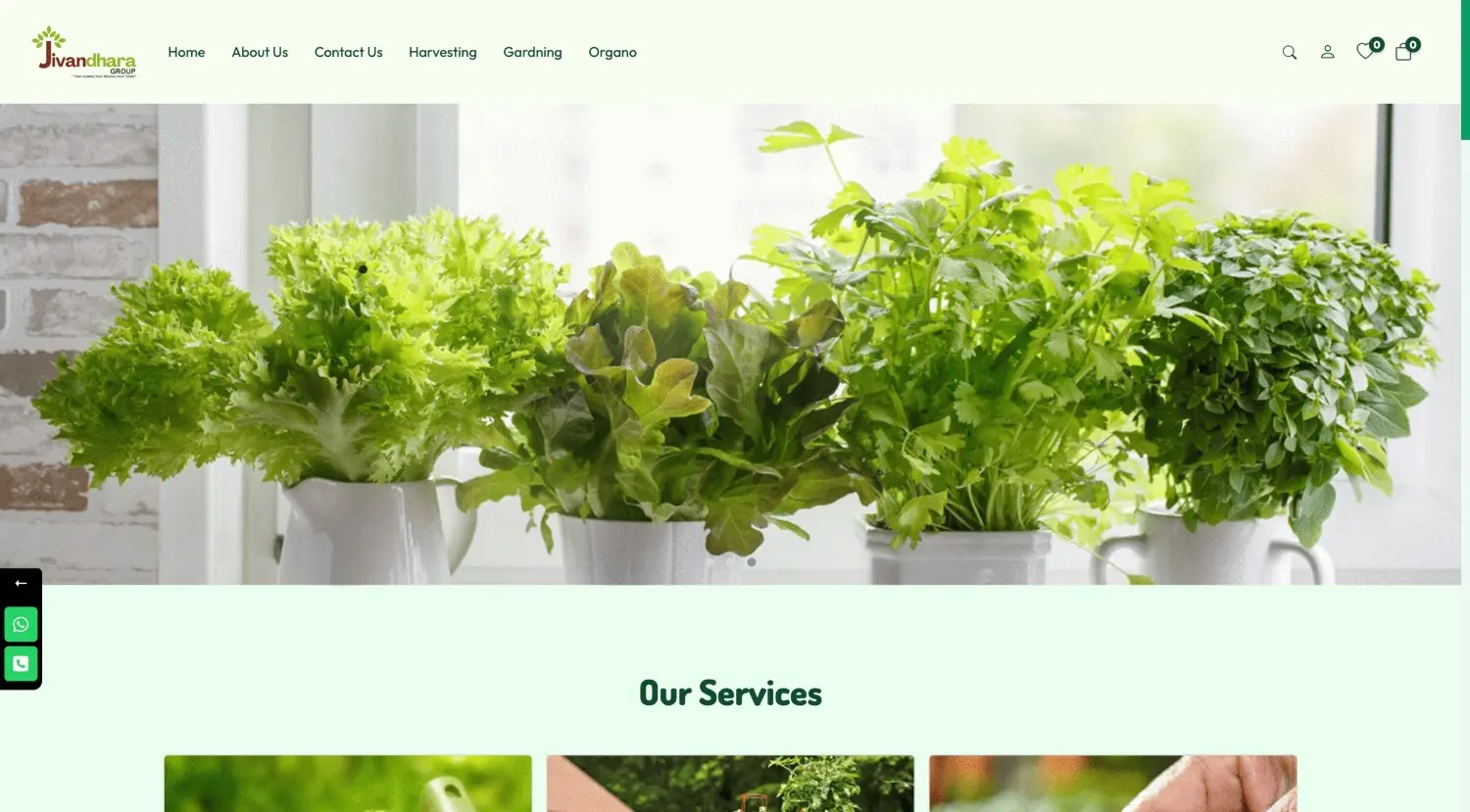 Plants Infomatory